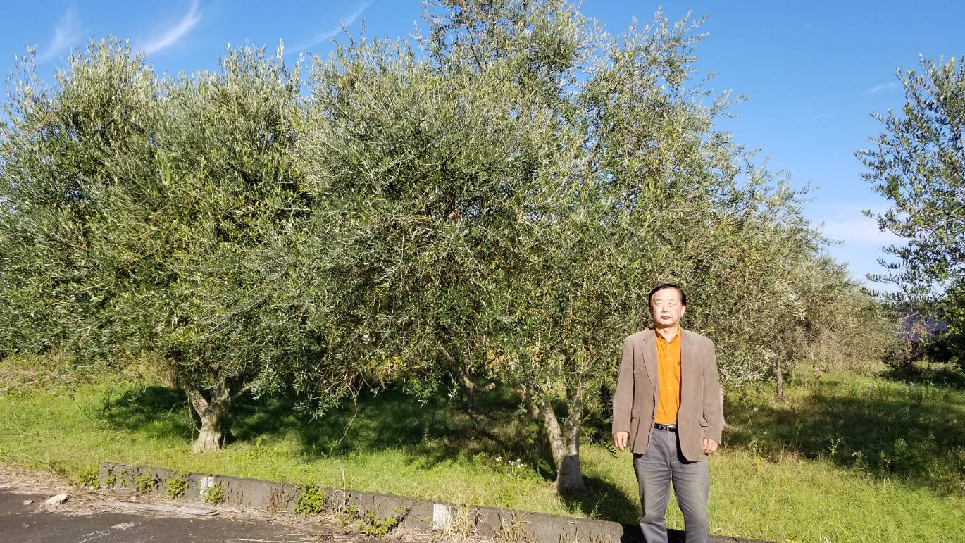 【久留米のキラキラさん】シニア世代も輝ける場とオリーブ栽培の可能性に着目した古賀直樹さんをご紹介します